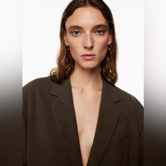 ARITZIA New Vogue Rich Cocoa Oversized Blazer - Picture 5 of 16